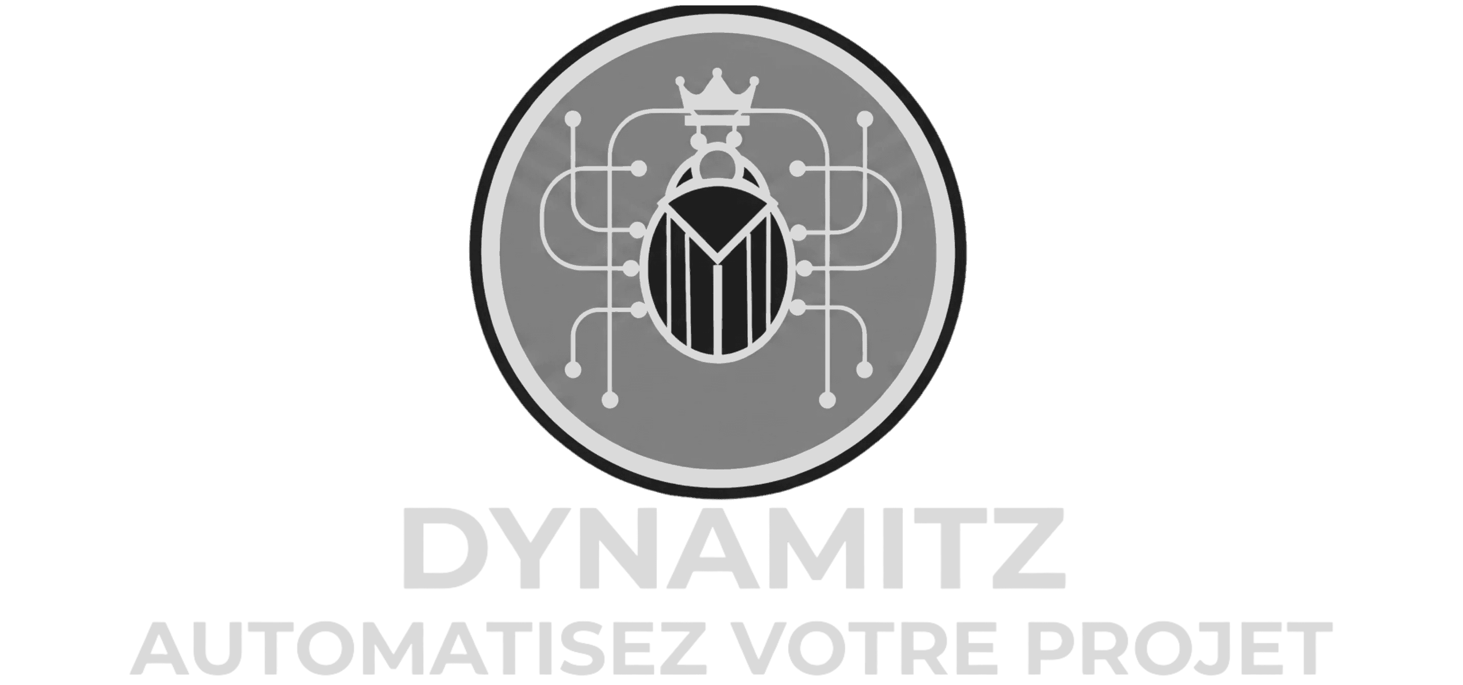 Dynamitz